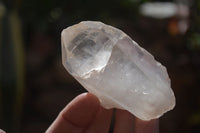 Natural Large Single Quartz Crystals  x 31 From Madagascar