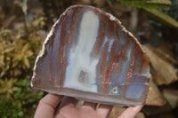 Polished One Side Polished Agate Free Forms  x 2 From Southern Africa