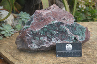 Natural Extra Large Drusy Coated Malachite On Red Dolomite Specimen x 1 From Likasi, Congo - Toprock Gemstones and Minerals 