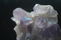 Natural Jacaranda Amethyst Clusters  x 3 From Zambia - Toprock Gemstones and Minerals 