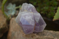 Natural Jacaranda Amethyst Clusters  x 3 From Mumbwa, Zambia - Toprock Gemstones and Minerals 