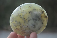 Polished Dendritic Opal Palm Stones  x 6 From Madagascar - Toprock Gemstones and Minerals 