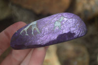 Polished One Side Polished Purpurite Free Forms x 12 From Erongo, Namibia