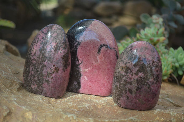 Polished Pink & Black Rhodonite Standing Free Forms x 3 From Madagascar