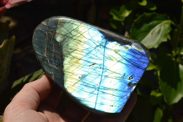 Polished Labradorite Standing Free Forms With Intense Blue & Gold Flash x 2 From Sakoany, Madagascar - TopRock