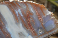 Polished One Side Polished Agate Free Forms  x 2 From Southern Africa