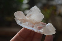 Natural Large Single Quartz Crystals  x 31 From Madagascar