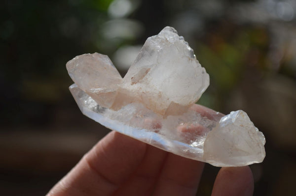 Natural Large Single Quartz Crystals  x 31 From Madagascar