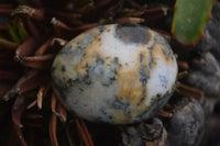 Polished Dendritic White Opal Standing Free Forms & Gallets x 6 From Madagascar - Toprock Gemstones and Minerals 