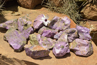 Natural Selected Purple Stichtite Specimens  x 21 From Barberton, South Africa - TopRock