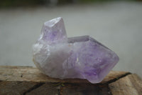 Natural Single Jacaranda Amethyst Crystals  x 12 From Zambia - Toprock Gemstones and Minerals 