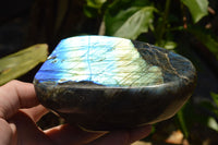 Polished Labradorite Standing Free Forms With Intense Blue & Gold Flash x 2 From Sakoany, Madagascar - TopRock