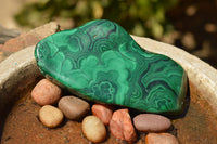 Polished Malachite Free Forms With Stunning Flower & Banding Patterns x 2 From Kolwezi, Congo - TopRock