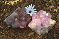 Natural Jacaranda Amethyst Quartz Clusters x 2 From Zambia - TopRock