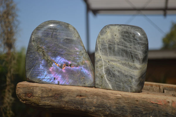 Polished  Rare Purple Flash Labradorite Standing Free Forms  x 2 From Tulear, Madagascar