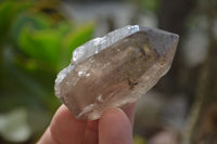 Natural Clear Smokey Quartz Crystals  x 12 From Malawi