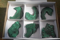 Polished Flower Banded Malachite Slices  x 6 From Congo - Toprock Gemstones and Minerals 