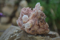 Natural Pink Candle Quartz Specimens   x 5 From Madagascar