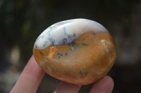 Polished Dendritic White Opal Standing Free Forms & Gallets x 6 From Madagascar - Toprock Gemstones and Minerals 