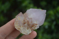 Natural Single Spirit Amethyst Quartz Crystals  x 24 From Boekenhouthoek, South Africa - Toprock Gemstones and Minerals 