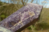 Polished Deep Purple Gemmy Lepidolite Crystals With Pink Tourmaline Inclusions In One  x 2 From Madagascar - TopRock