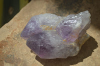 Natural Jacaranda Amethyst Clusters  x 3 From Mumbwa, Zambia - Toprock Gemstones and Minerals 