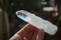 Natural Large Single Quartz Crystals  x 31 From Madagascar