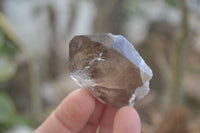 Natural Clear Smokey Quartz Crystals  x 12 From Malawi