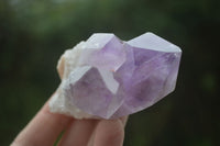 Natural Single Jacaranda Amethyst Crystals  x 12 From Zambia - Toprock Gemstones and Minerals 