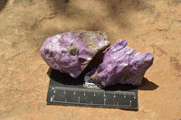 Natural Selected Purple Stichtite Specimens  x 21 From Barberton, South Africa - TopRock