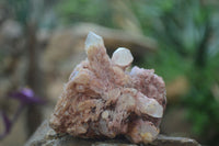 Natural Pink Candle Quartz Specimens   x 5 From Madagascar