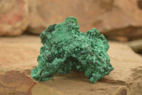 Natural Chatoyant Silky Malachite Specimens  x 6 From Kasompe, Congo - TopRock