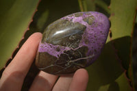 Polished  Stichtite & Serpentine Standing Free Forms x 6 From Barberton, South Africa