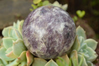 Polished Dark Purple Lepidolite Spheres x 4 From Madagascar - TopRock