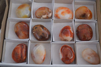 Polished Carnelian Agate Palm Stones  x 6 From Madagascar - Toprock Gemstones and Minerals 