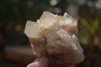 Natural Mixed Quartz Specimens x 6 From Southern Africa