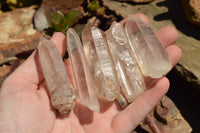 Natural Clear Quartz Crystals  x 48 From Madagascar - TopRock