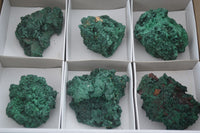 Natural Chatoyant Silky Malachite Specimens  x 6 From Kasompe, Congo - TopRock