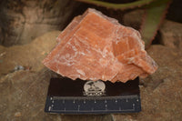 Natural New Sunset Orange Calcite Specimens  x 3 From Spitzkop, Namibia