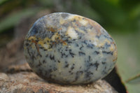 Polished Dendritic White Opal Standing Free Forms & Gallets x 6 From Madagascar - Toprock Gemstones and Minerals 