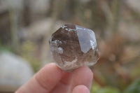 Natural Clear Smokey Quartz Crystals  x 12 From Malawi