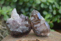 Natural Large Smokey Amethyst Crystal Specimens  x 6 From Chiredzi, Zimbabwe - Toprock Gemstones and Minerals 