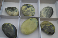 Polished Extra Large Leopard Stone Free Forms  x 6 From Zimbabwe - Toprock Gemstones and Minerals 