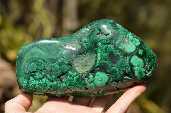 Polished Malachite Free Forms With Stunning Flower & Banding Patterns x 2 From Kolwezi, Congo - TopRock