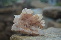 Natural Pink Candle Quartz Specimens   x 5 From Madagascar