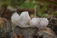 Natural Small Mixed Spirit Quartz Clusters / Crystals  x 24 From Boekenhouthoek, South Africa - TopRock