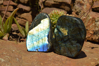 Polished Labradorite Standing Free Forms With Intense Blue & Gold Flash x 2 From Sakoany, Madagascar - TopRock