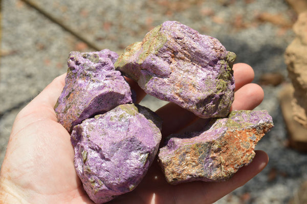 Natural Selected Purple Stichtite Specimens  x 21 From Barberton, South Africa - TopRock