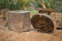 Polished  Petrified Wood Branch Pieces x 2 From Gokwe, Zimbabwe