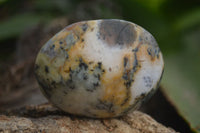 Polished Dendritic White Opal Standing Free Forms & Gallets x 6 From Madagascar - Toprock Gemstones and Minerals 